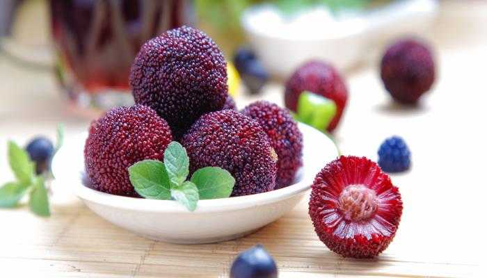 ��÷�ƵĹ�Ч ��÷�Ƶ�����